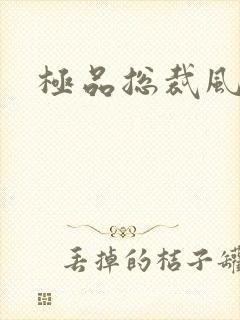 极品总裁风流录