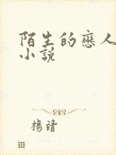 陌生的恋人原著小说