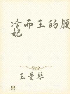 冷面王的腹黑王妃