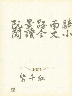 阮景路南辞免费阅读全文小说