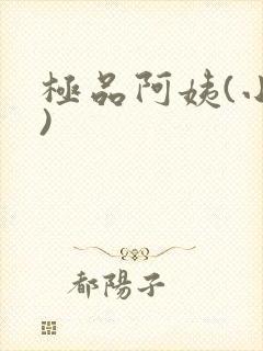 极品阿姨(小说)