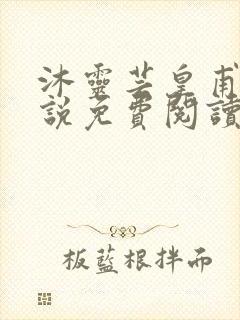 沐灵芸皇甫霆小说免费阅读