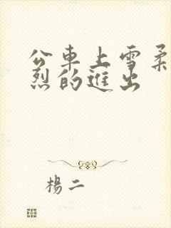 公车上雪柔被猛烈的进出