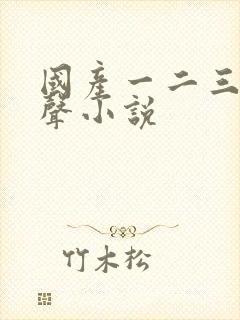 国产一二三区有声小说