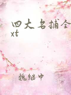 四大名捕全集txt