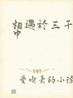 相遇于三千肉文中