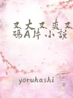 又大又爽又黄无码A片小说