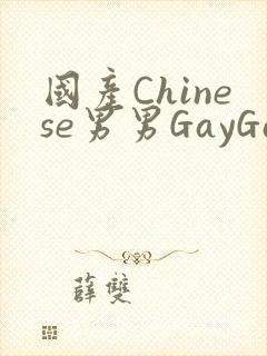 国产Chinese男男GayGayAPP
