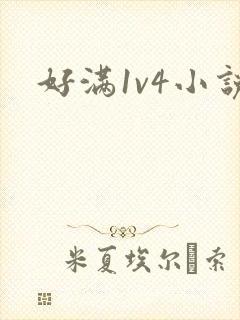 好满1v4小说