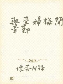 与孕妇梅开三度章节