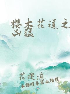 樱木花道之重生凶猛