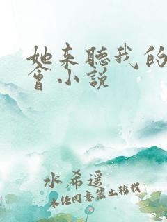 她来听我的演唱会小说