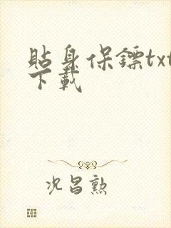 贴身保镖txt下载