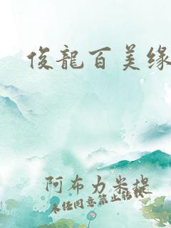 俊龙百美缘小说