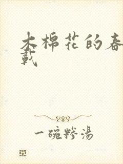 木棉花的春天下载