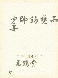 少帅的双面小娇妻