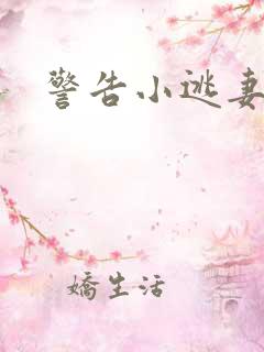 警告小逃妻