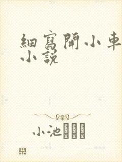 细写开小车车的小说