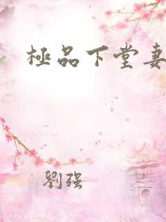 极品下堂妻