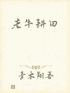 老牛耕田