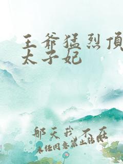 王爷猛烈顶弄H太子妃