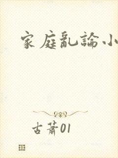 家庭乱论小说