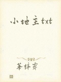 小地主txt