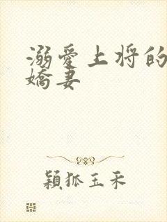 溺爱上将的宝贝娇妻