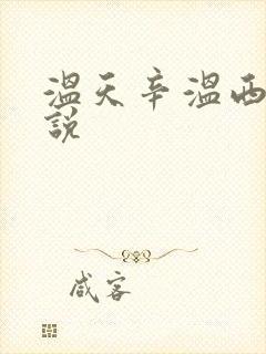 温天辛温西离小说