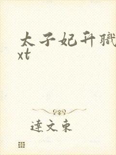 太子妃升职记txt