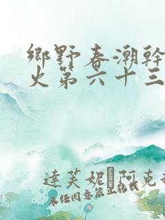 乡野春潮干柴烈火第六十三章