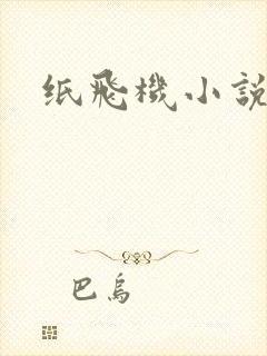纸飞机小说