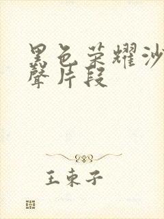 黑色荣耀沙发原声片段