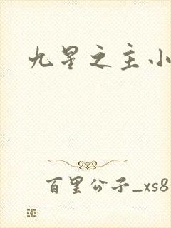 九星之主小说