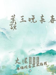 叶玉晚来春 小说