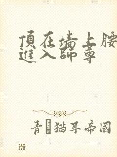 顶在墙上腰一沉进入师尊