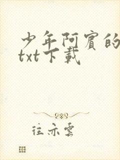 少年阿宾的故事txt下载