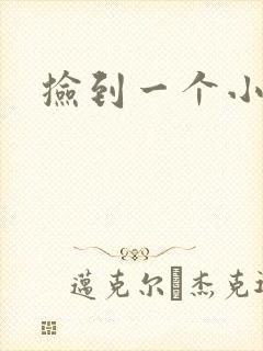 捡到一个小妖精