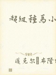 超级种马小说