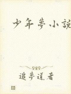 少年梦小说