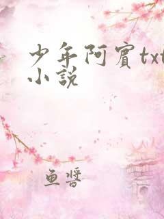 少年阿宾txt小说
