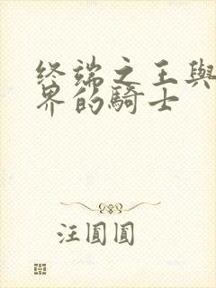 终端之王与异世界的骑士