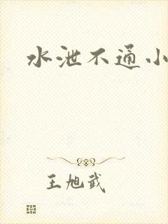 水泄不通小说