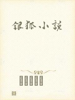 银狐小说
