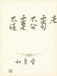 不要不要老板别这是公司