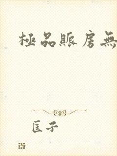 极品账房无弹窗