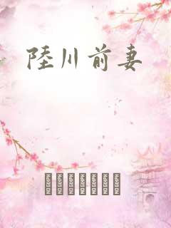 陆川前妻