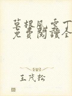 草根风云丁长生免费阅读全本