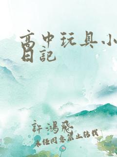 高中玩具小诗的日记