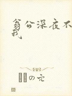 翁公深夜不停要我